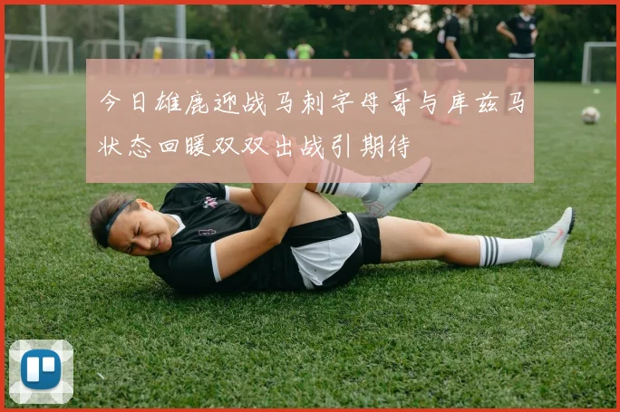 今日雄鹿迎战马刺字母哥与库兹马状态回暖双双出战引期待